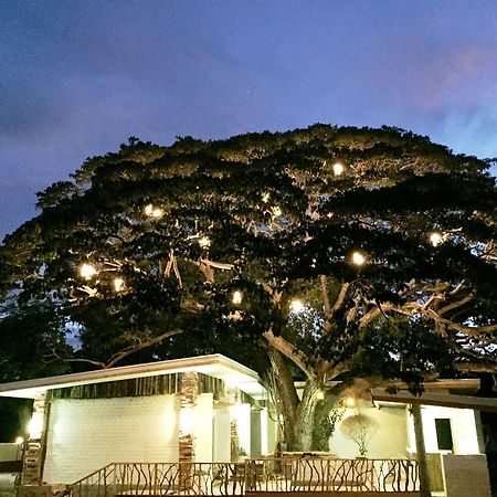 Serviced Apartments By Eco Hotel Bohol Panglao Exterior photo