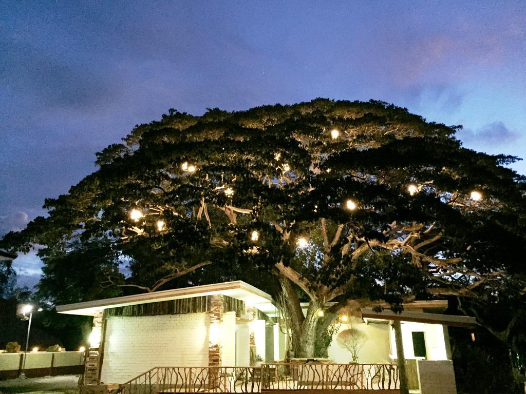 Serviced Apartments By Eco Hotel Bohol Panglao Exterior photo